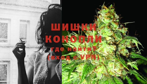 mdpv Домодедово