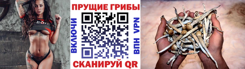 Галлюциногенные грибы GOLDEN TEACHER  Берёзовский 